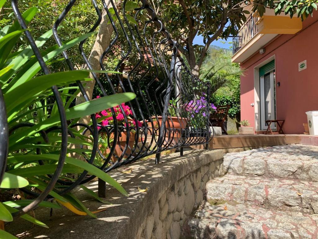 Albamare Otel Monterosso al Mare Dış mekan fotoğraf